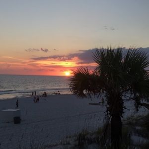 Meet your Posher, Isabella